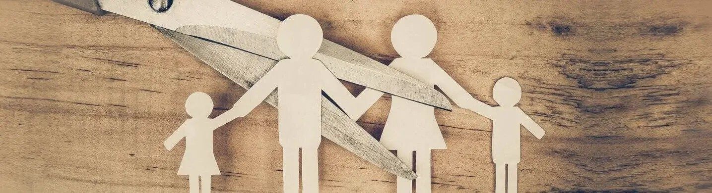 Domestic Violence- Recent Changes